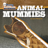 Animal_Mummies
