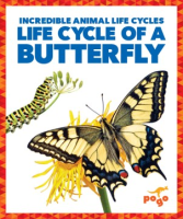 Life_cycle_of_a_butterfly