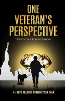 One_Veteran_s_Perspective