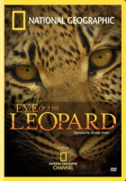Eye_of_the_leopard