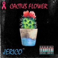 Cactus_Flower