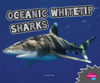 Oceanic_Whitetip_Sharks