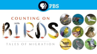 Counting_on_Birds__Tales_of_Migration