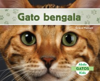Gato_Bengala
