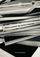 Marco_Lucchesi__Star-Poetics-Labyrinth