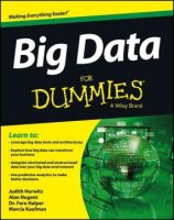 Big_data_for_dummies