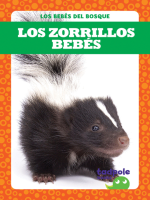 Los_zorrillos_beb__s__Skunk_Kits_