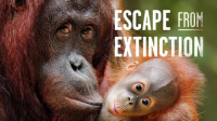 Escape_from_Extinction