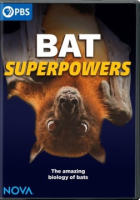 Bat_superpowers