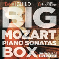 Big_Mozart_Piano_Sonatas_Box