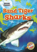 Sand_tiger_sharks