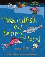 Catfish__cod__salmon__and_scrod