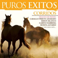 Puros___xitos__Corridos