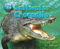 Saltwater_Crocodile