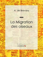 La_migration_des_oiseaux