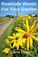 Roadside_Weeds_For_Your_Garden