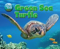 Green_Sea_Turtle