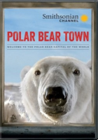 Polar_bear_town