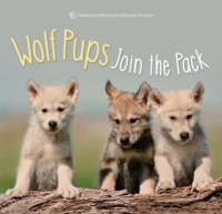 Wolf_pups_join_the_pack