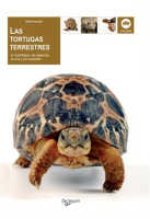 Las_Tortugas_Terrestres