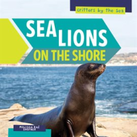 Sea_Lions_on_the_Shore