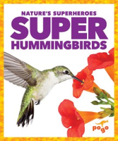 Super_Hummingbirds