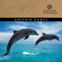 Dolphin_Dance