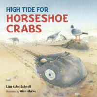 High_tide_for_horseshoe_crabs