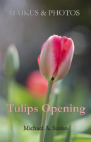 Haikus_and_Photos__Tulips_Opening