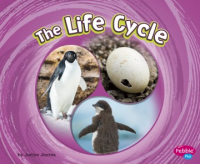 The_life_cycle