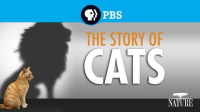 The_Story_of_Cats
