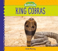 King_Cobras