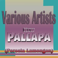 New_Pallapa__Persela_Lamongan_