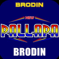 New_Pallapa_Brodin