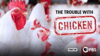FRONTLINE_-_The_Trouble_with_Chicken