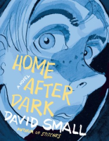 Home_after_dark