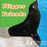 Flipper_Friends