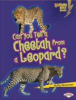 Can_you_tell_a_cheetah_from_a_leopard_