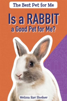 Is_a_Rabbit_a_Good_Pet_for_Me_