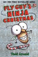 Fly_Guy_s_ninja_Christmas