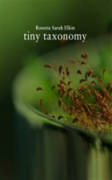 Tiny_Taxonomy