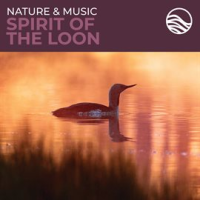 Nature___Music__Spirit_Of_The_Loon