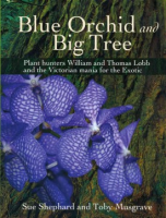 Blue_orchid_and_big_tree