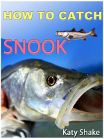 How_To_Catch_Snook