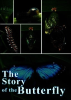 The_story_of_the_butterfly