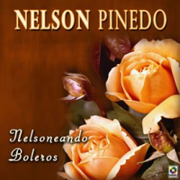 Nelsoneando_Boleros