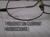 Thoughts_on_Current_Neuroscience