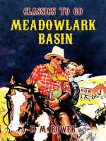 Meadowlark_Basin