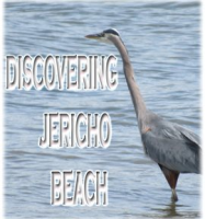 Discovering_Jericho_Beach