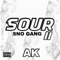Sour_II__Sno_Gang__Instrumentals_